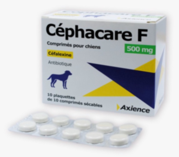Cephalexin Générique 500mg